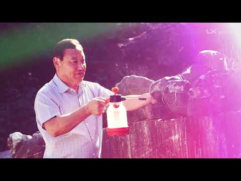 기를 황금같이 하는 수석모으는 수석팀장 | LX사람들