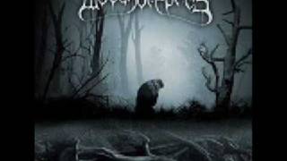 Woods of Ypres - A Meeting Place And Time