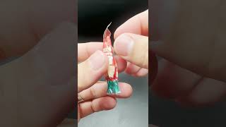 もはやミニチュアでは無く原寸大!?めっちゃ懐かしい『超リアル!ミニチュア駄菓子マスコット10』ガチャやってみた♪#食品サンプル#駄菓子#新発売#ミニチュア