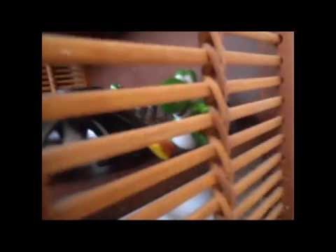 SMM S5 Ep3 Mario's Pool Party