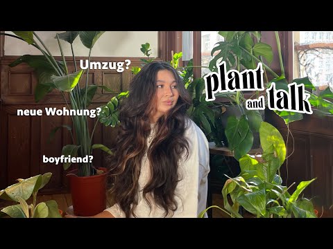 Umzug in eine neue Wohnung? // Plant and Talk 🪴✨