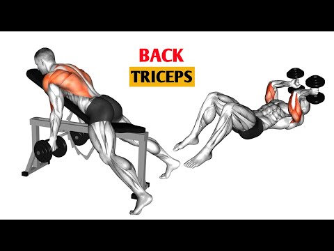 Build a Bigger Back & Triceps With Dumbbells 💯