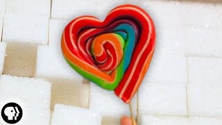 Why Do We Love Sugar?