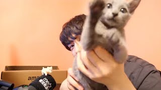 猫と恋愛相談にのります【恋愛相談LIVE】