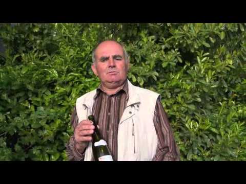 La cuvée Granit du domaine de l'Écu