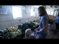 WGBY Eco Exchange Community Supported Agriculture CSA