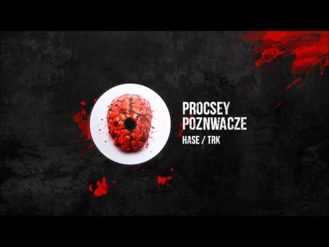 Hase/TRK - Sto [PROCESY POZNAWCZE EP]