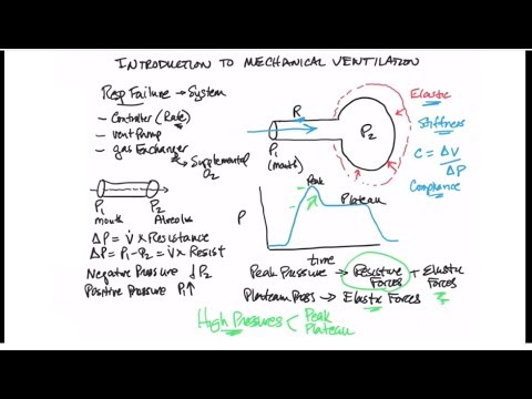 Introduction to Mechanical Ventilation -- BAVLS