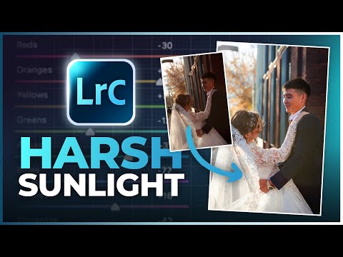 Fix HARSH Direct Sunlight Photos In Lightroom