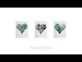 Vandebo Mangar Tom Zurh Official Audio