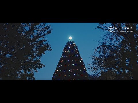 【AOGAKU MOVIE】Aoyama, Candle Christmas もみの木ver.