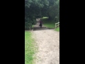 Dora The Explorer 2