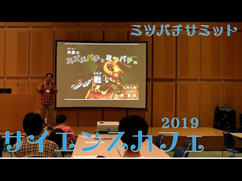 商学科 外来のスズメバチとミツバチの戦い