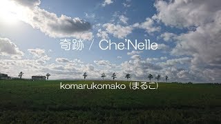 シェネル  &quot; 奇跡 &quot;   by まるこ