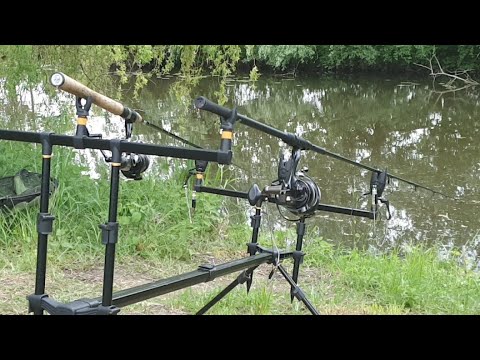 Zasiadka Karpiowa Hamburg