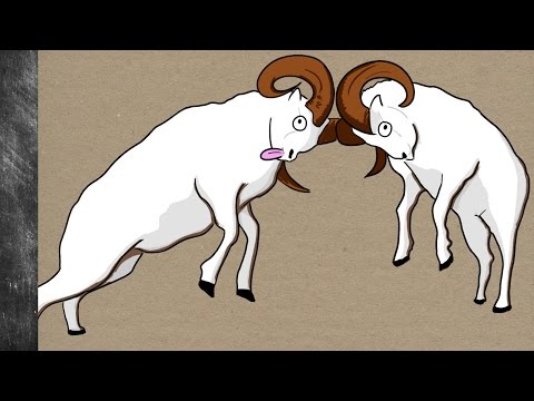 Why are Males often More Physically Aggressive?