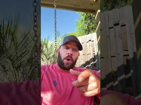 Do Realize What Just Happened..? #shortsfeed #langley #congress #shortsvideo Thumbnail