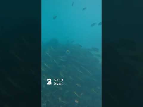 Best Places to Visit in Neil Island Andaman - The Ultimate Guide