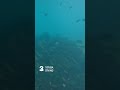 Best Places to Visit in Neil Island Andaman - The Ultimate Guide