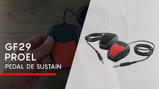Video thumbnail for PEDAL DE SUSTAIN GF29 PROEL by Audiocentro Electronics - Tu elección inteligente