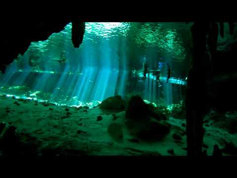 Cenote Scuba Diving | Dos Ojos | Mexico, Yucatan | GoPro 9 underwater | 4K footage | Part 1/2