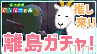初！離島ガチャでまさかの住民に戸惑いが隠せられない【あつまれどうぶつの森】【実況】