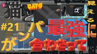 (=実況=)ネコとパンが合わさって最強に見えるCATO #21