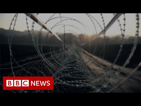 刑務所のコビッド：「人間のように扱われるべきだ」 - BBCニュース (Covid in prison: 'We should be treated like humans' - BBC News)