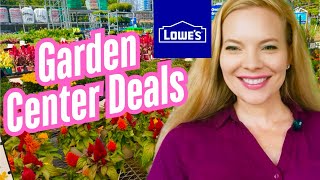 🌸New Fall Plant Inventory At Lowe’s Garden Center