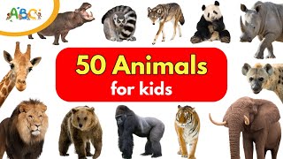 50 Animals for Kids | Learn Animal Names | Types of Animals for Kids | Wild Animals Name