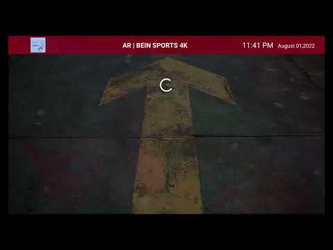 A thumnail preview of a video