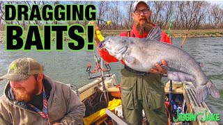 Hunting for Trophy Blue Cats in a Power Plant Lake
