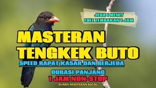 Download lagu MASTERAN TENGKEK BUTO SUARA JERNIH SPEED RAPAT KASAR BERJEDA 1 JAM mp3
