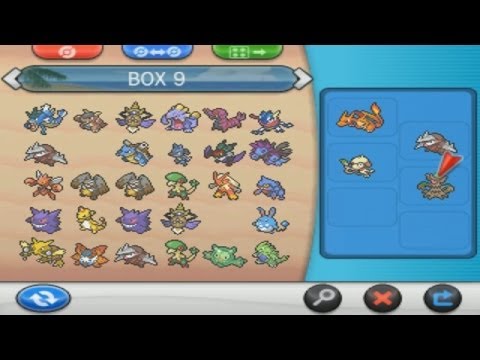 comment construire equipe pokemon