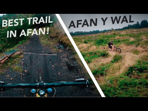 The Y Wal Trail is So Sick! // Afan Forest Park MTB