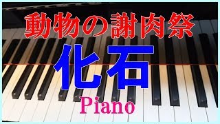 Download lagu サン＝サーンス: 組曲｢動物の謝肉祭｣：化石 Carnival of the Animals piano mp3