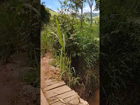 córrego cobrador. conceição de Ipanema. Mg