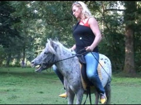 Girl Pony Riding in her Garden  #Pony #Ponyriding