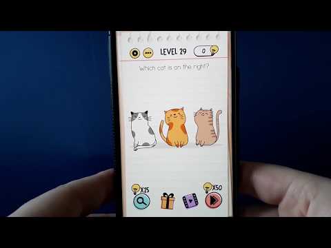 YouTube video about: Which cat is on the right brain test?