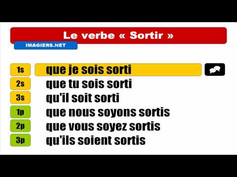 Audio + Video conjugation = Sortir = Subjonctif Passé