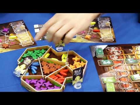 Interview and Rules (English / Essen 2018 fair)