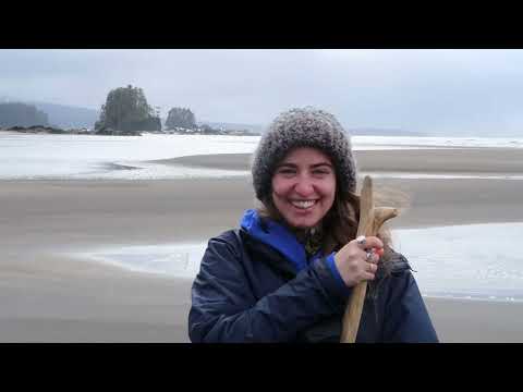 Shelikof Cabin, Alaska 2023