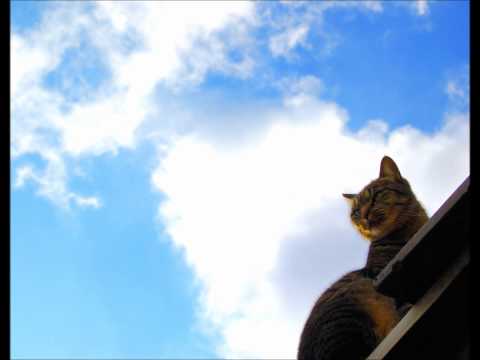 Ultra Nyan 2: Happy Daisakusen Fushigi Neko Ultra Nyan Kumiko Horiuchi