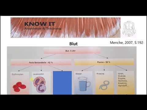 Aufbau und Funktion des Blutes