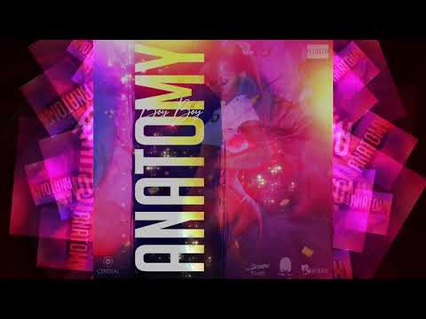 Boy Boy - Anatomy (Official Audio)
