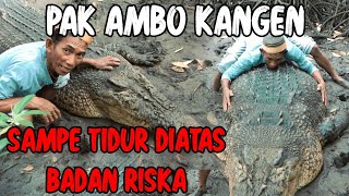 Download lagu DIPELUK HINGGA NAIKIN BADAN BUAYA RISKA,CINTA & KASIH SAYANG AMBO, TANPA BATAS❗ mp3
