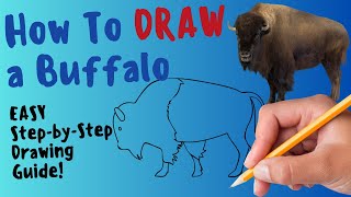 How To Draw A Buffalo - Fun and Easy Step By Step Drawing and Coloring Tutorial