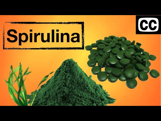 Video pronuncia di alga in Inglese