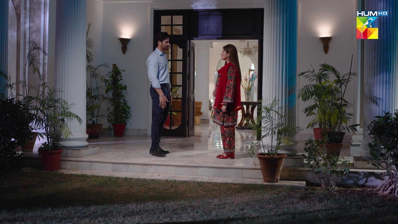 Ap Aur Apki Beti Ki Zehniyat Ghatiya Hai..! #hinatariq - Aye Dil Aazma Nahin - HUM TV
