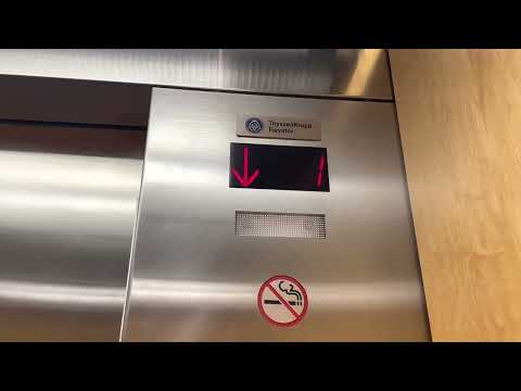 ThyssenKrupp Hydraulic Elevator at Christine Larson